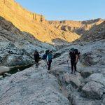 Reon’s Tours & Safaris