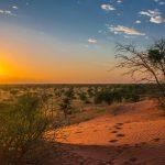 Reon’s Tours & Safaris