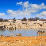 Reon’s Tours & Safaris