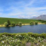 Reon’s Tours & Safaris