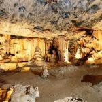 Reon’s Tours & Safaris