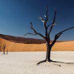 Reon’s Tours & Safaris