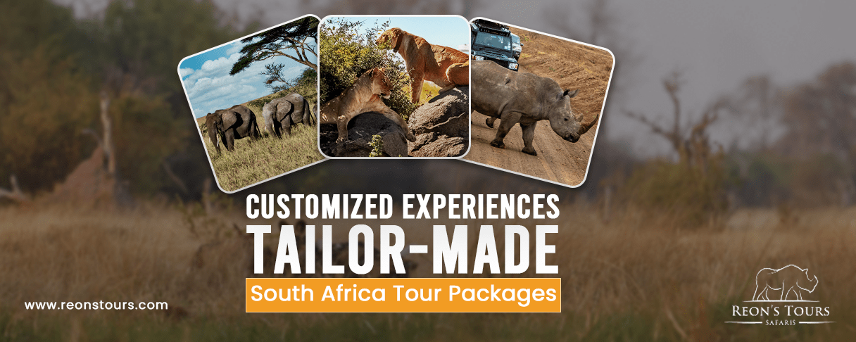 Customized Experiences Tailor-Made South Africa Tour Packages