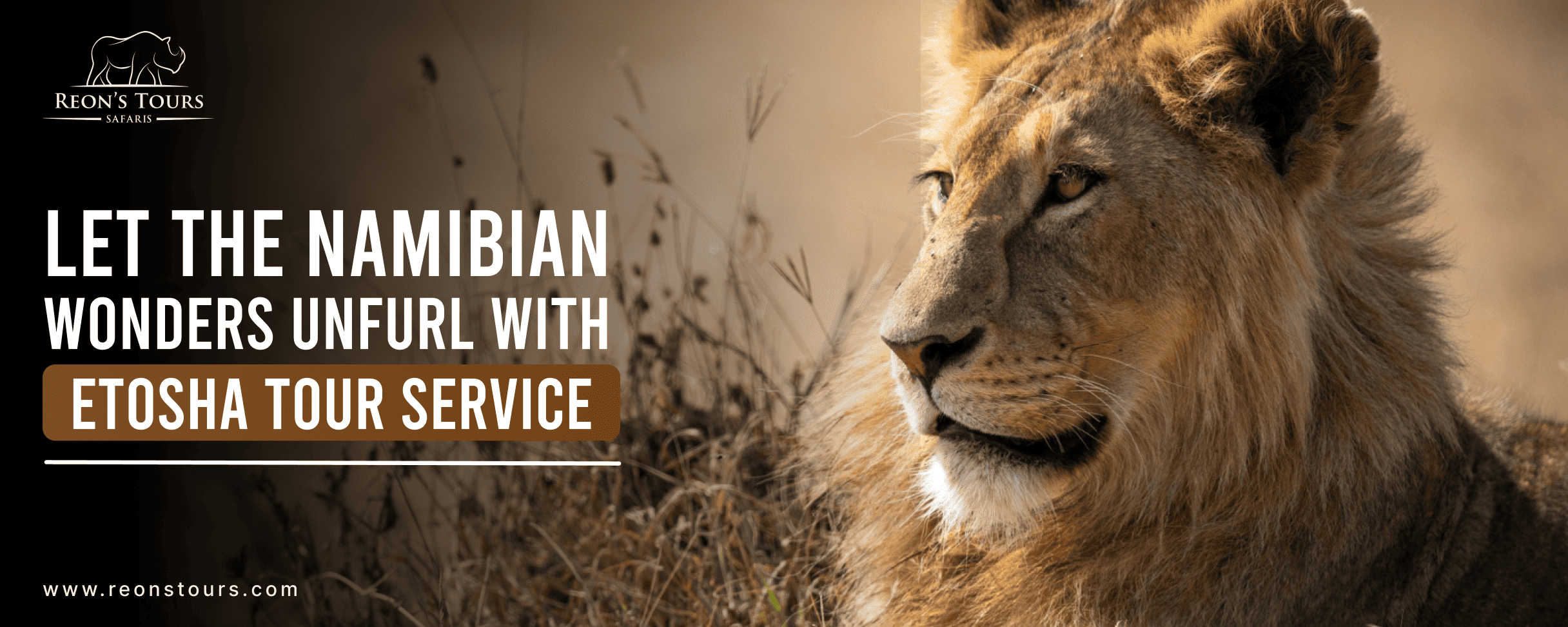 Let The Namibian Wonders Unfurl With Etosha Tour Service