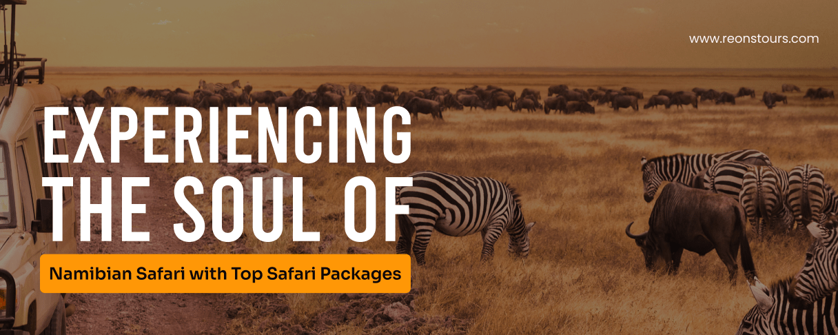 Experiencing the Soul of Namibian Safari with Top Safari Packages