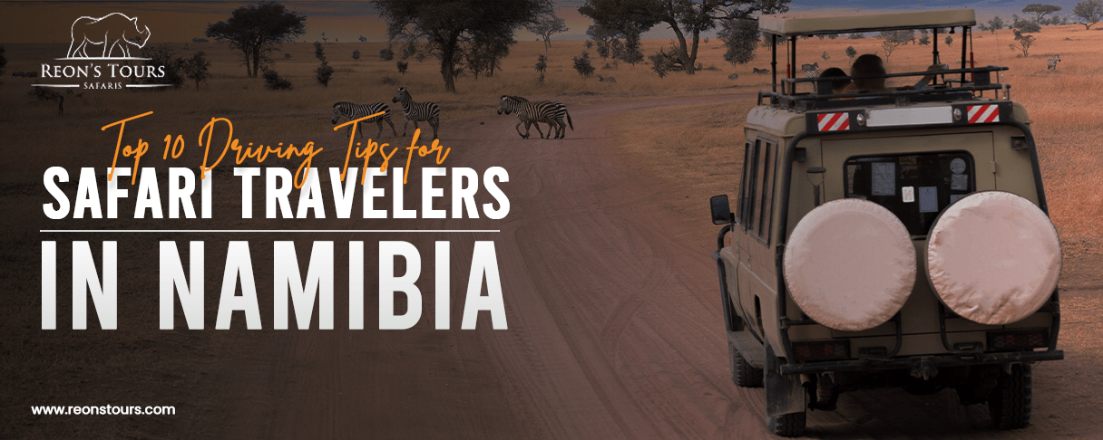 Top 10 Driving Tips for Safari Travelers in Namibia