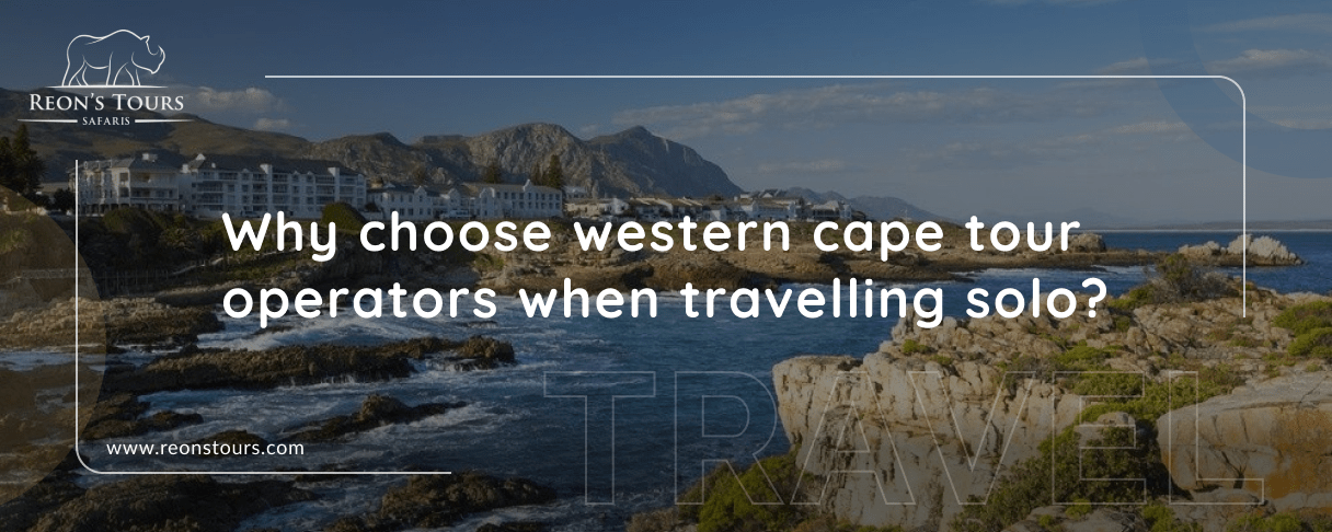 Why Choose Western Cape Tour Operators When Travelling Solo?